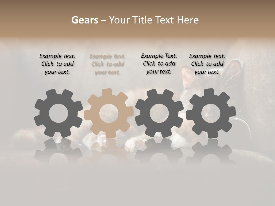 British Cats PowerPoint Template