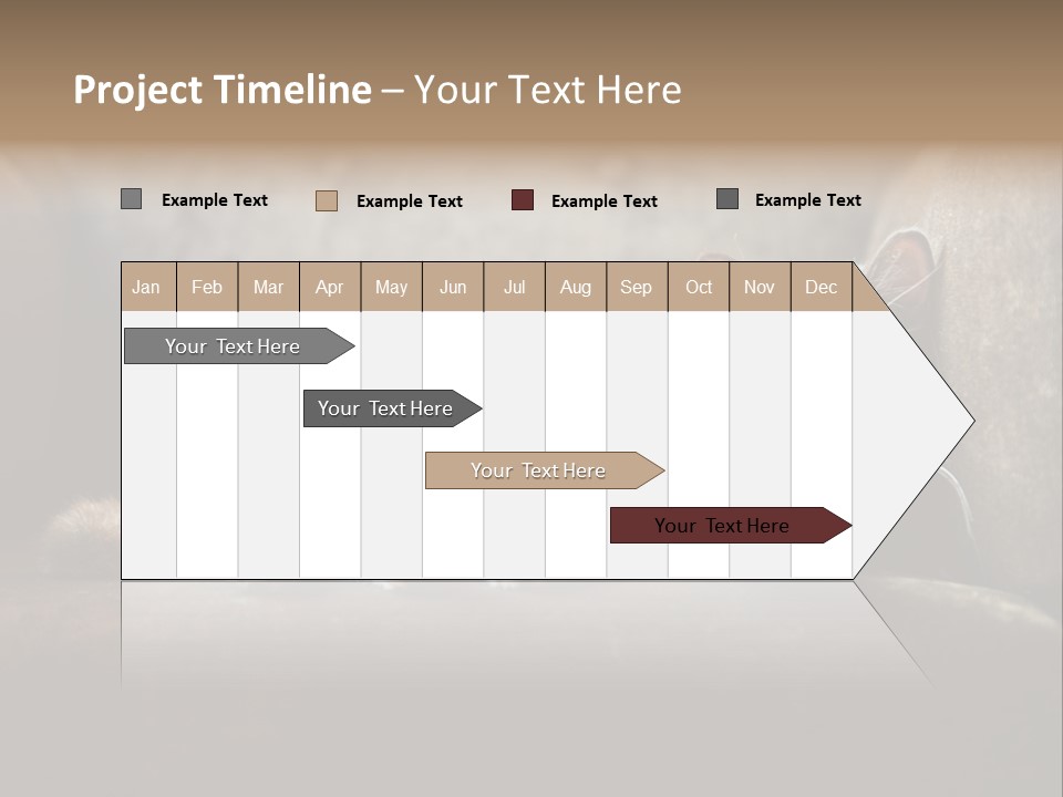 British Cats PowerPoint Template