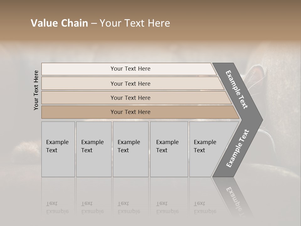 British Cats PowerPoint Template