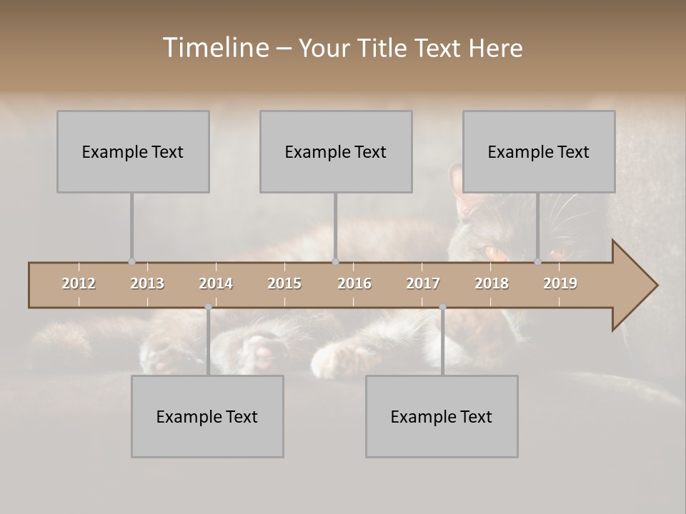 British Cats PowerPoint Template