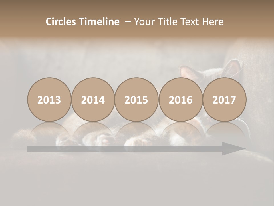 British Cats PowerPoint Template