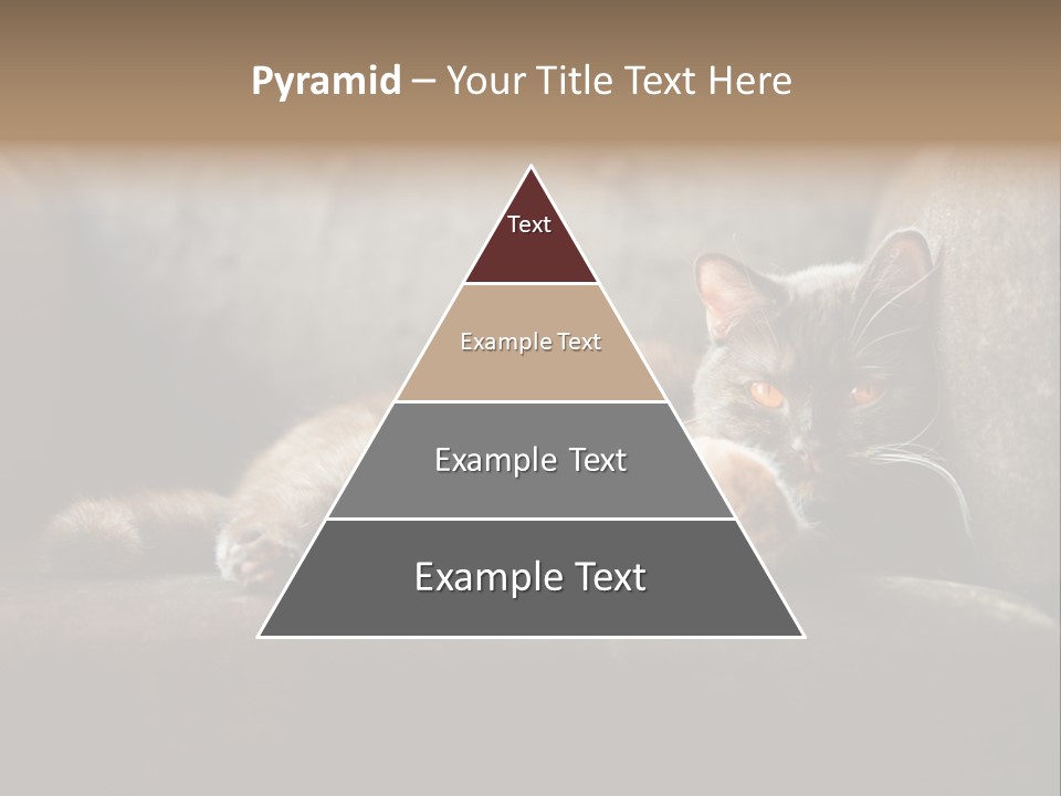 British Cats PowerPoint Template