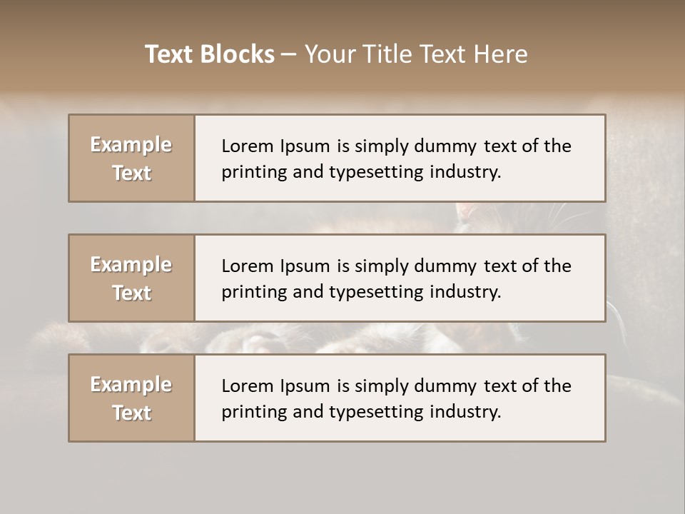 British Cats PowerPoint Template