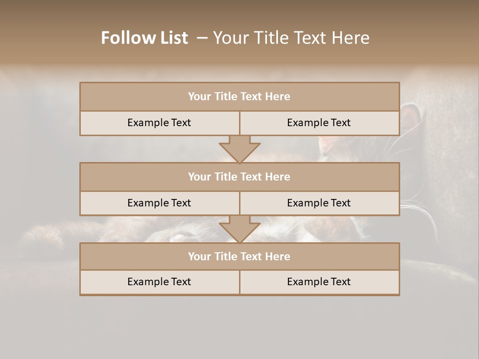 British Cats PowerPoint Template