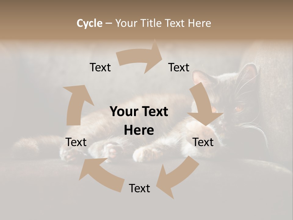 British Cats PowerPoint Template