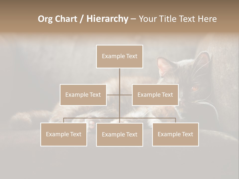 British Cats PowerPoint Template