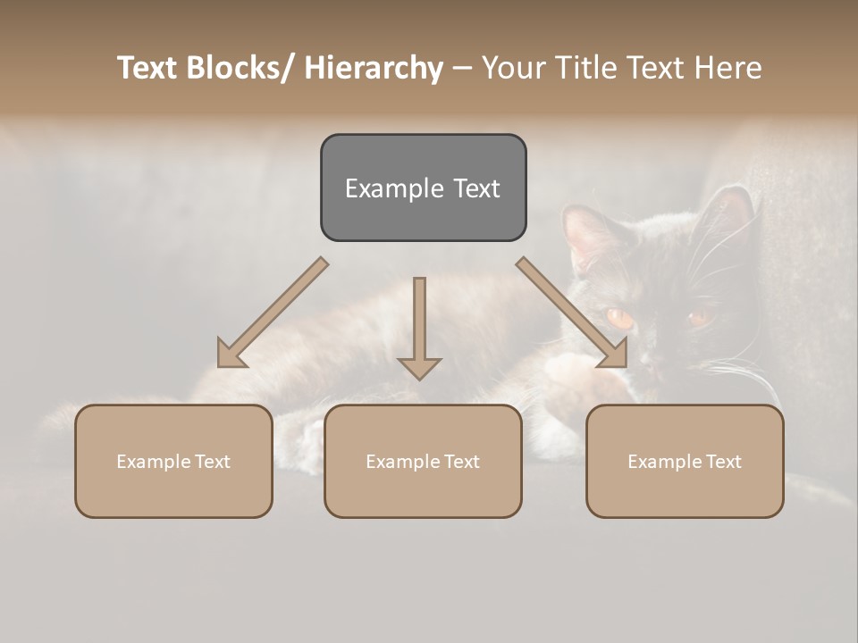 British Cats PowerPoint Template