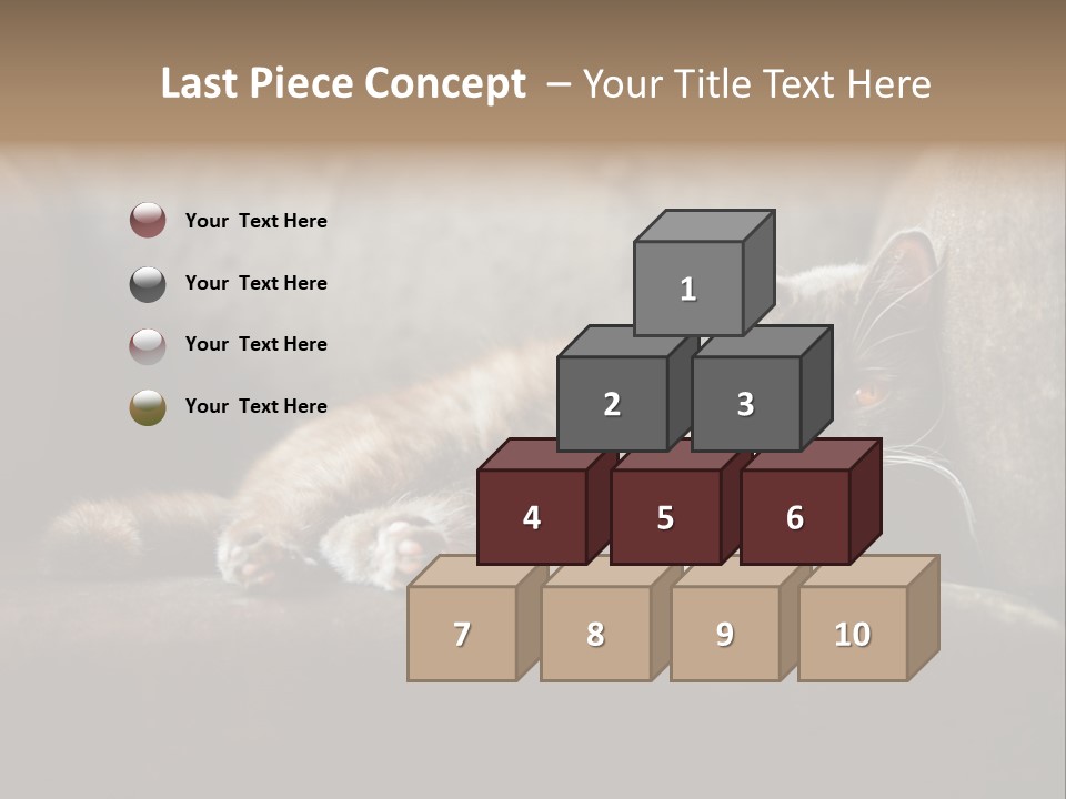 British Cats PowerPoint Template