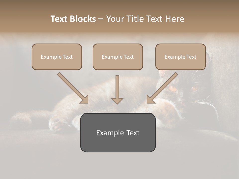 British Cats PowerPoint Template