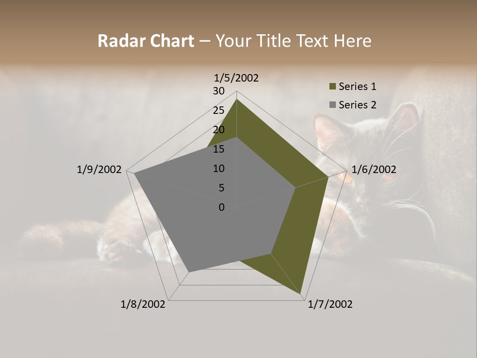 British Cats PowerPoint Template