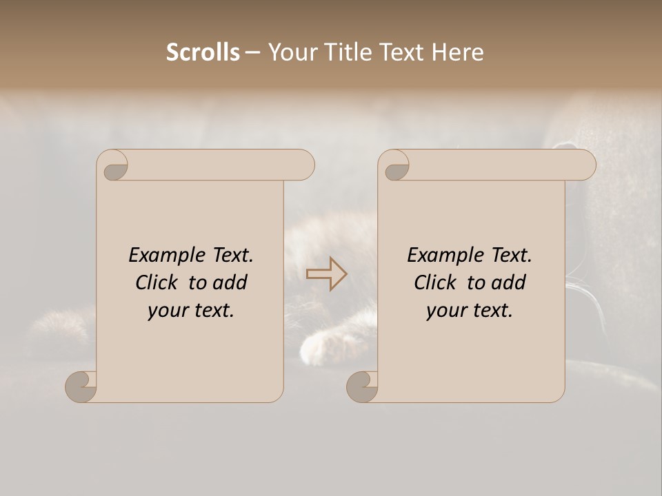 British Cats PowerPoint Template