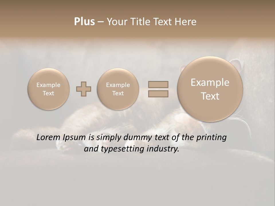 British Cats PowerPoint Template