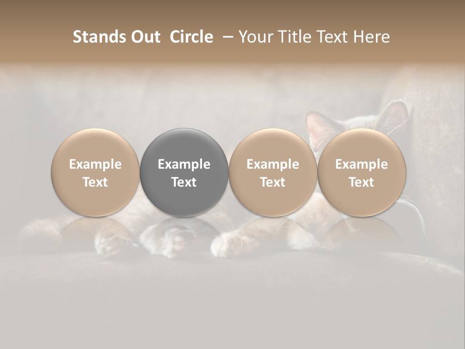 British Cats PowerPoint Template