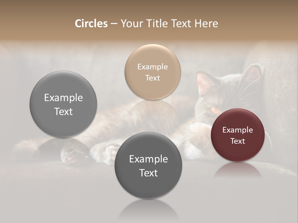 British Cats PowerPoint Template