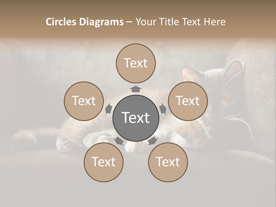 British Cats PowerPoint Template