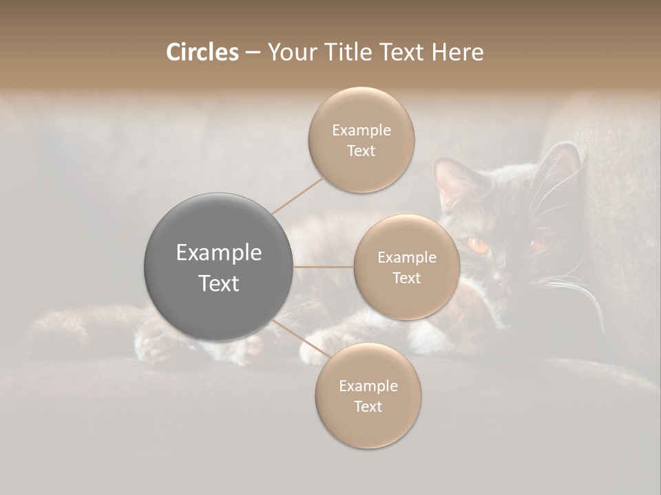 British Cats PowerPoint Template