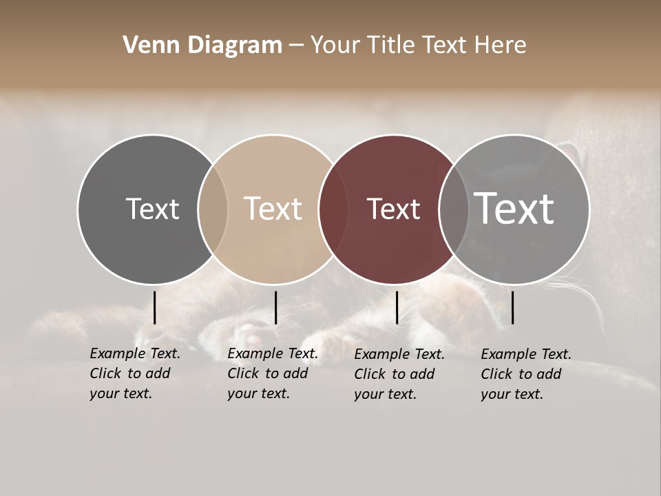 British Cats PowerPoint Template