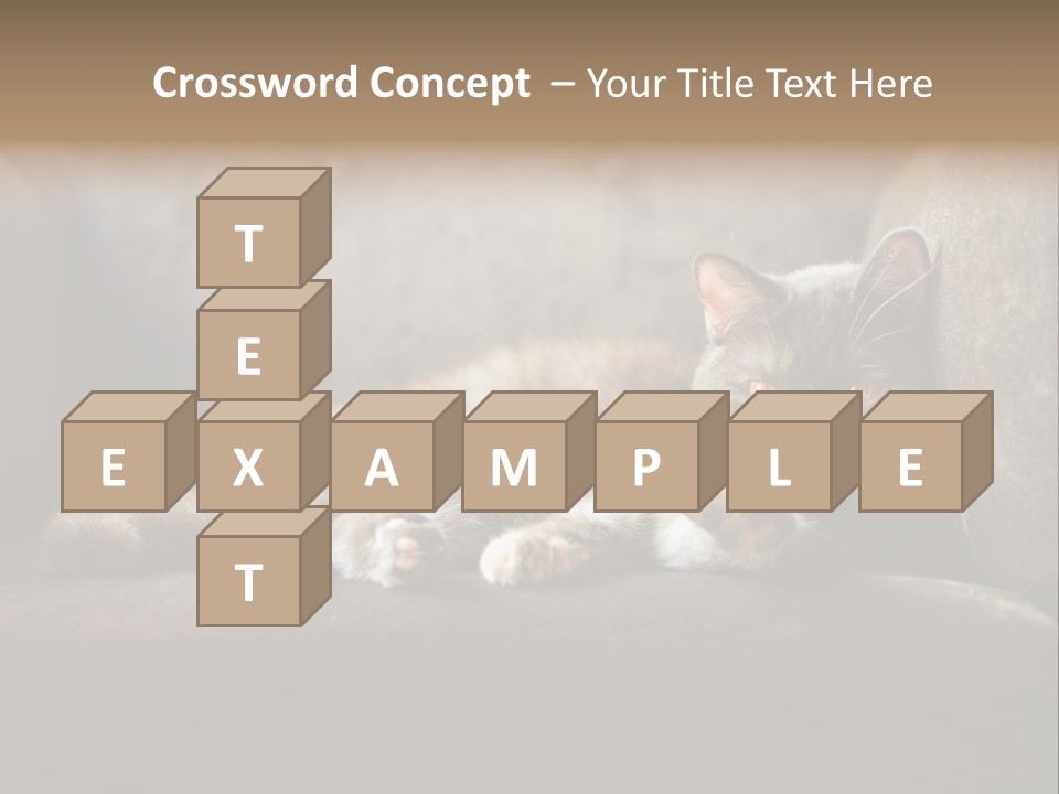 British Cats PowerPoint Template