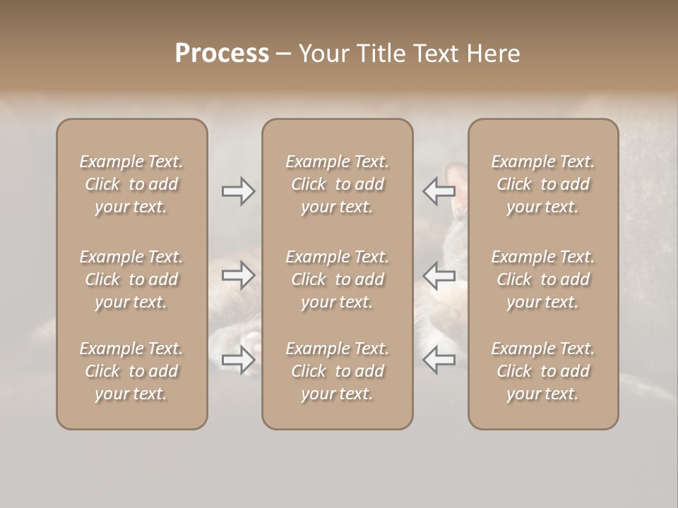 British Cats PowerPoint Template