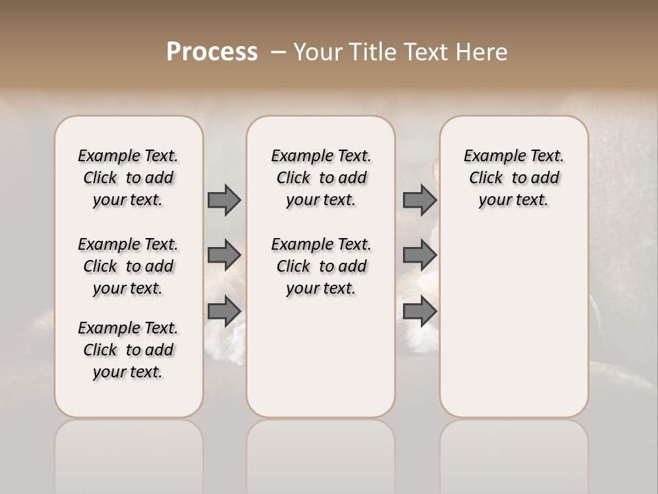 British Cats PowerPoint Template