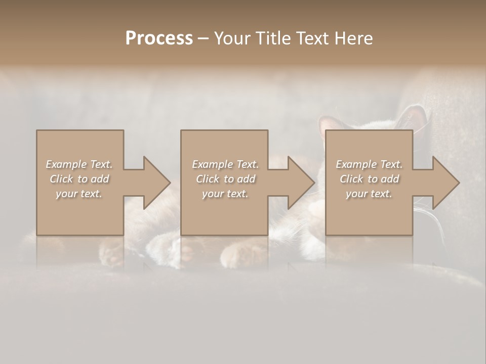 British Cats PowerPoint Template