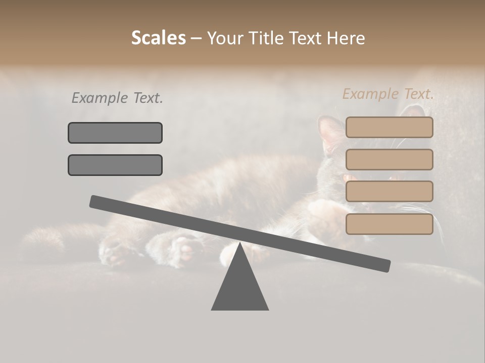 British Cats PowerPoint Template