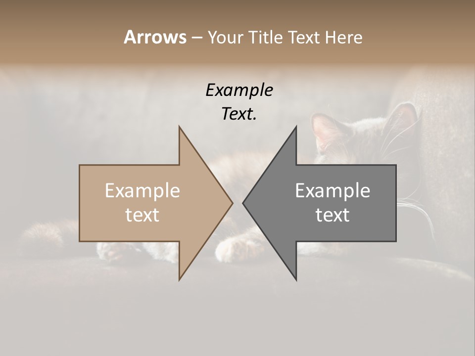 British Cats PowerPoint Template