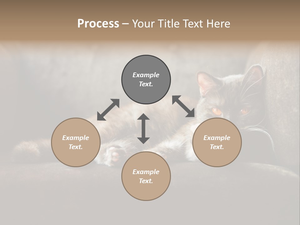 British Cats PowerPoint Template
