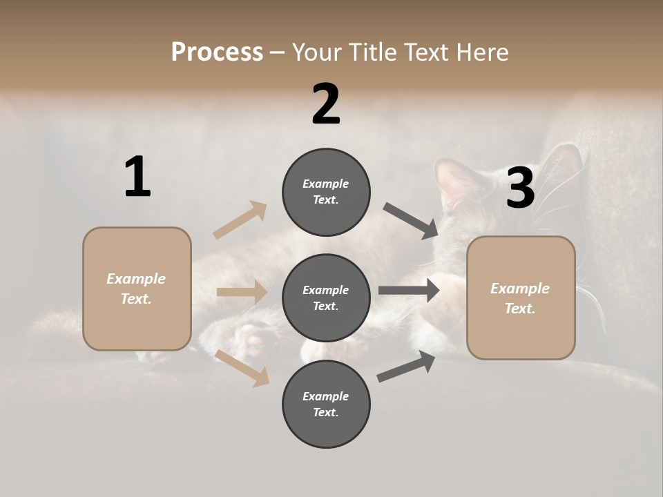 British Cats PowerPoint Template