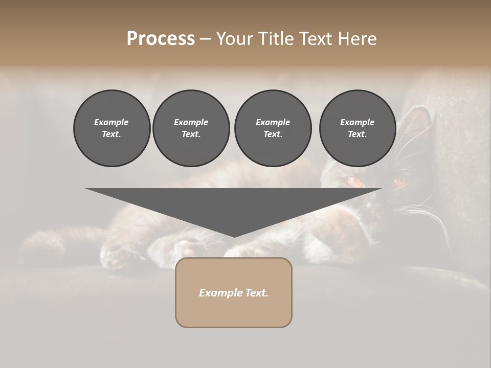 British Cats PowerPoint Template