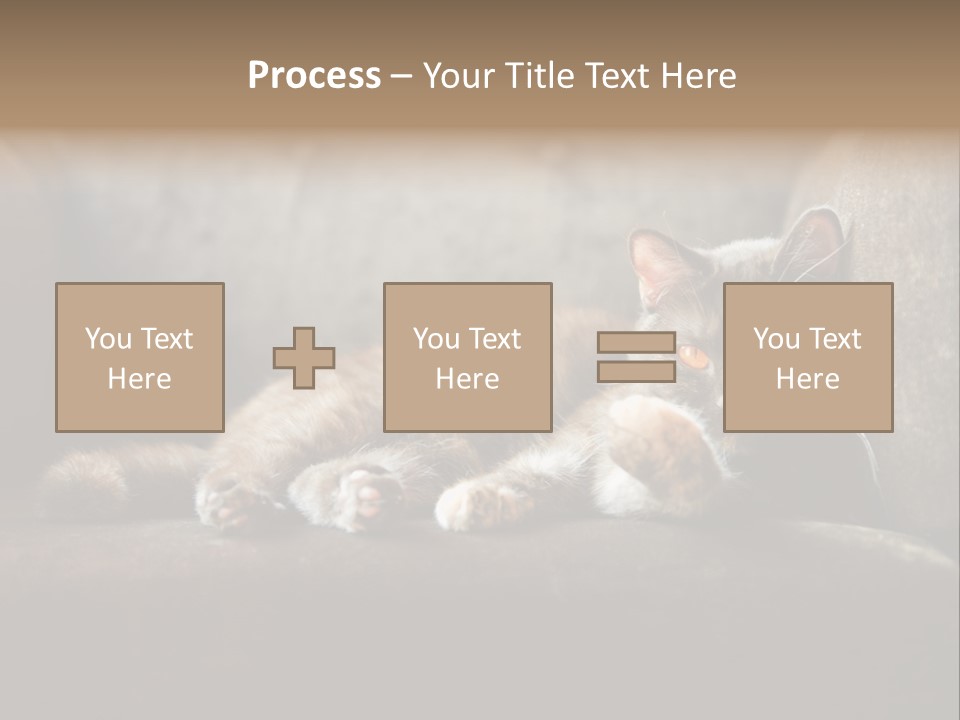 British Cats PowerPoint Template