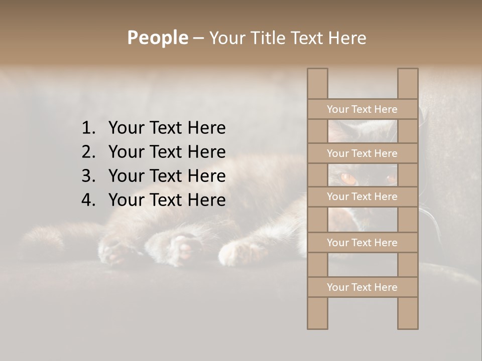 British Cats PowerPoint Template