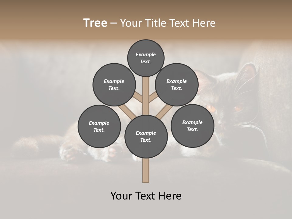 British Cats PowerPoint Template