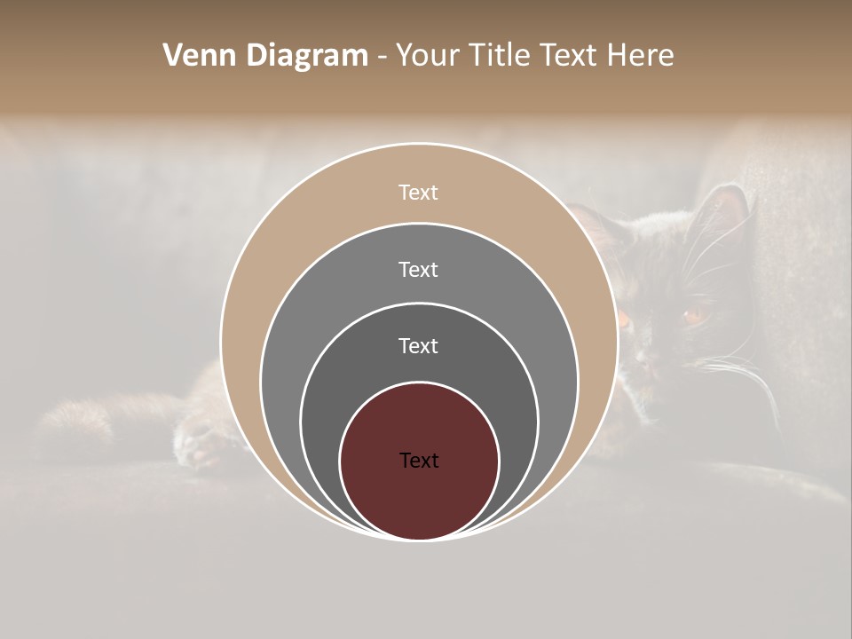 British Cats PowerPoint Template