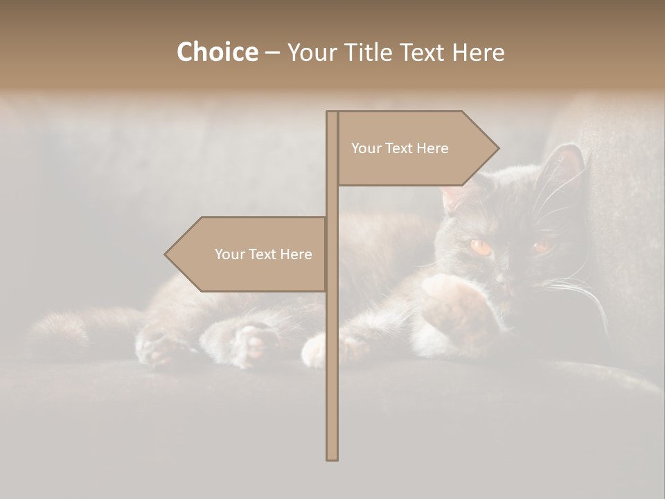 British Cats PowerPoint Template