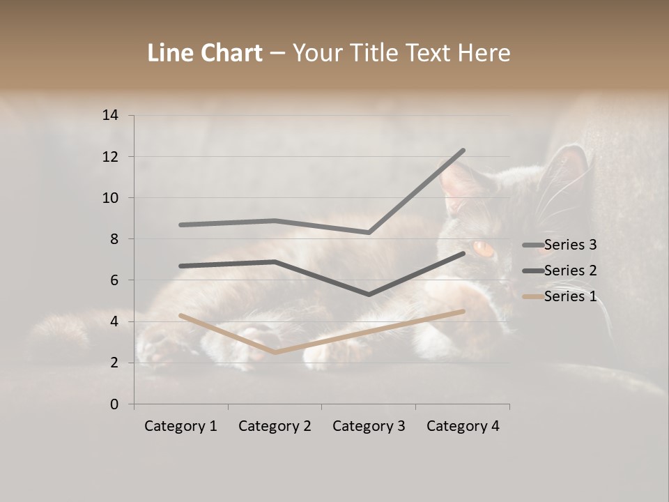 British Cats PowerPoint Template