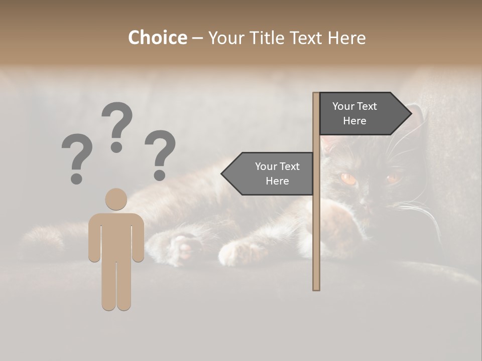 British Cats PowerPoint Template