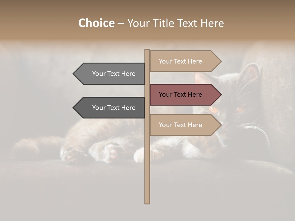 British Cats PowerPoint Template