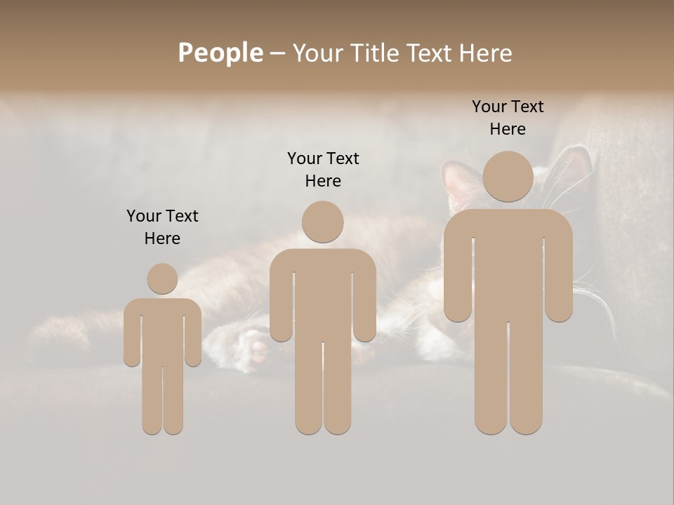 British Cats PowerPoint Template