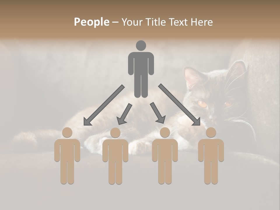 British Cats PowerPoint Template