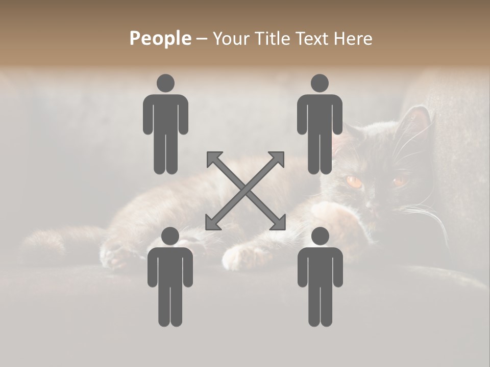 British Cats PowerPoint Template
