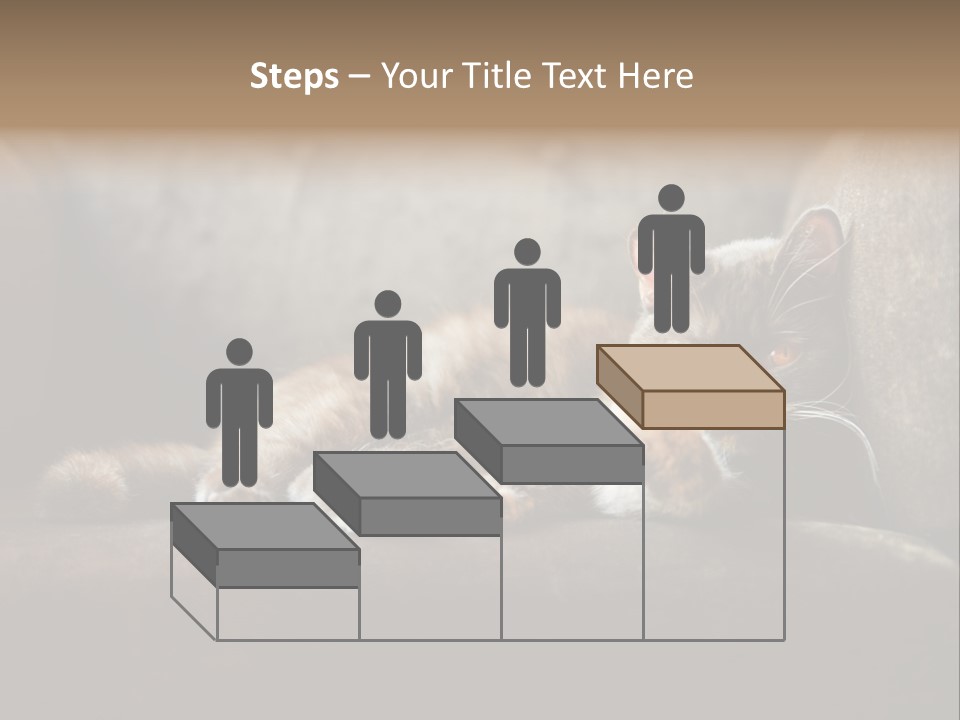 British Cats PowerPoint Template