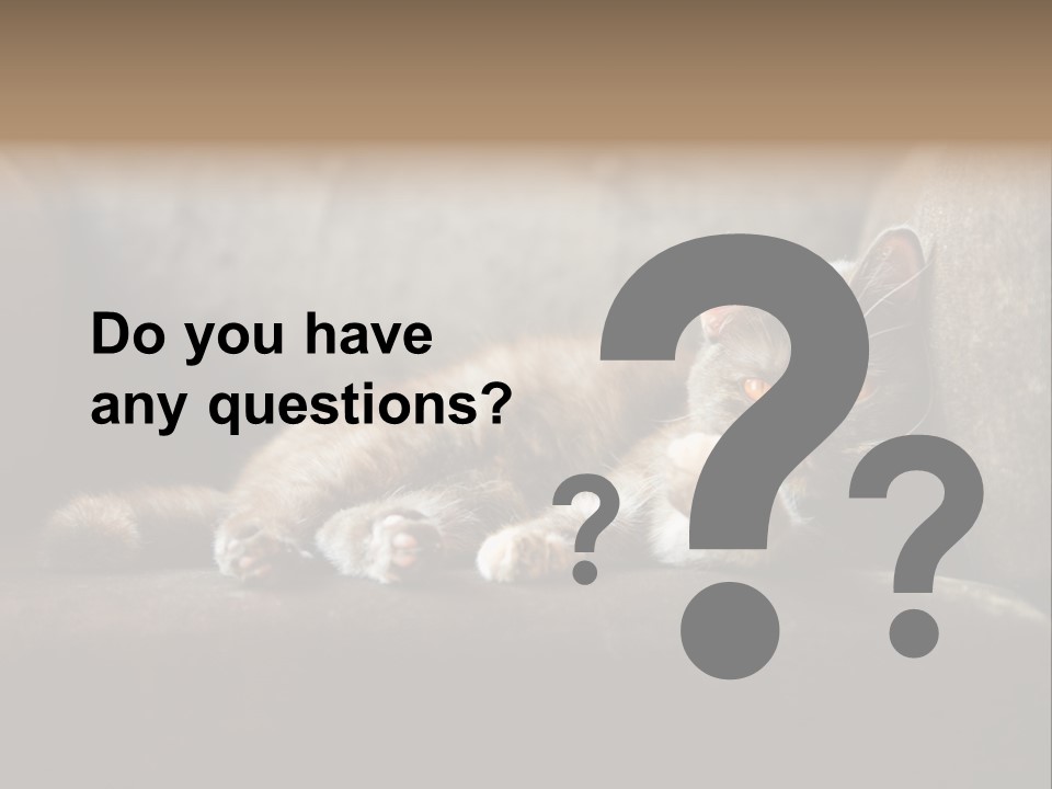 British Cats PowerPoint Template