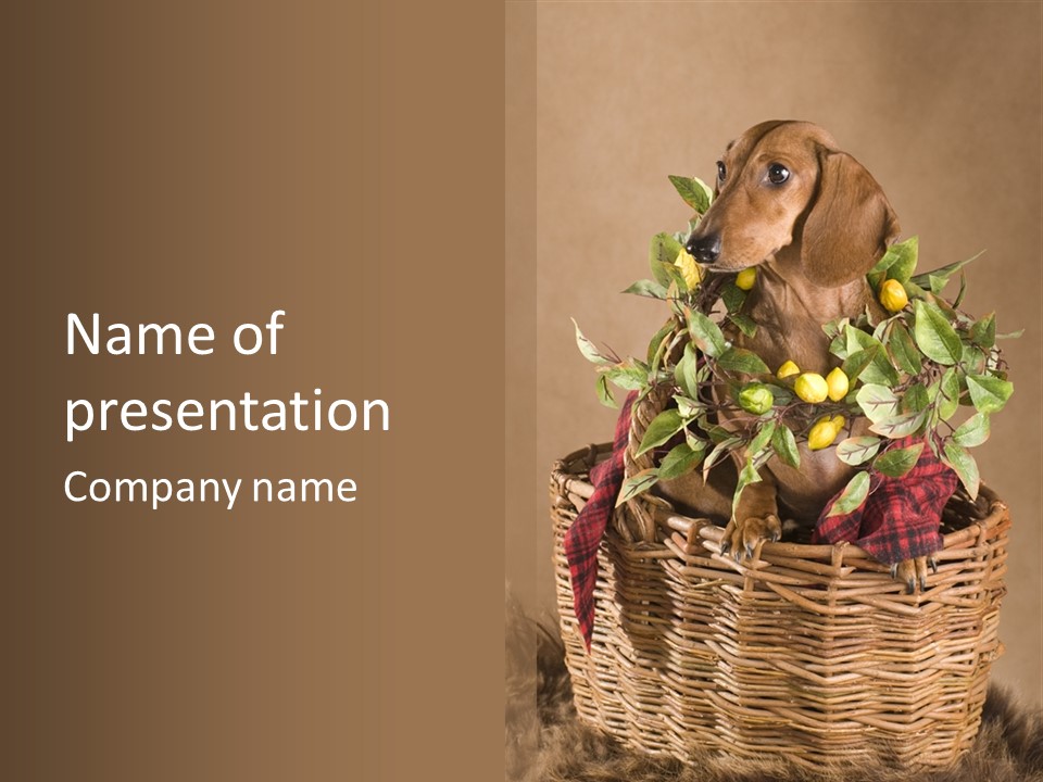 Nature Cut Dachshund PowerPoint Template