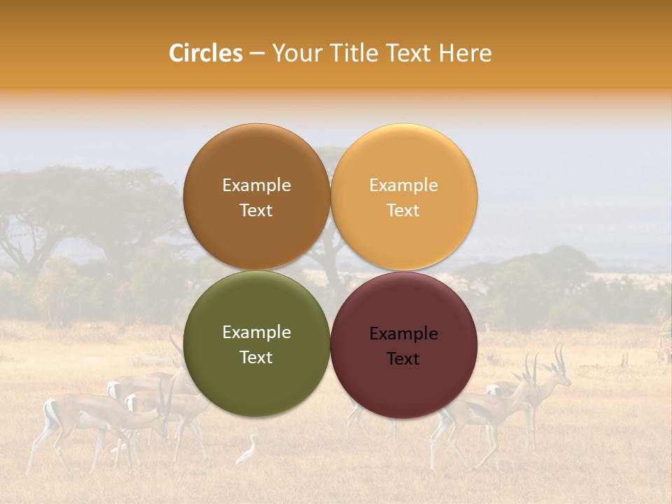 African Savannah PowerPoint Template