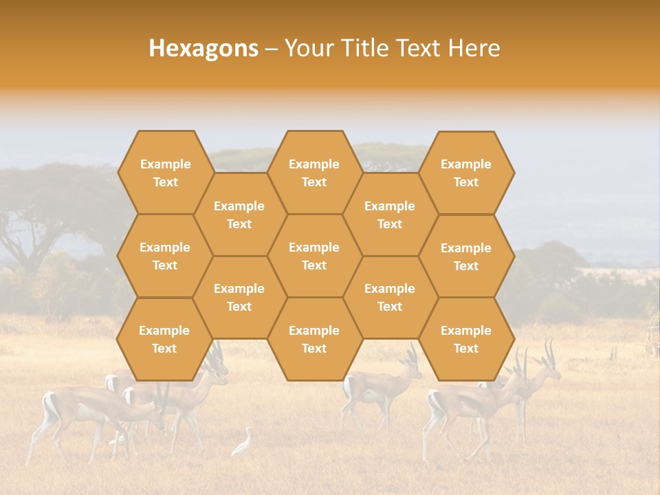 African Savannah PowerPoint Template