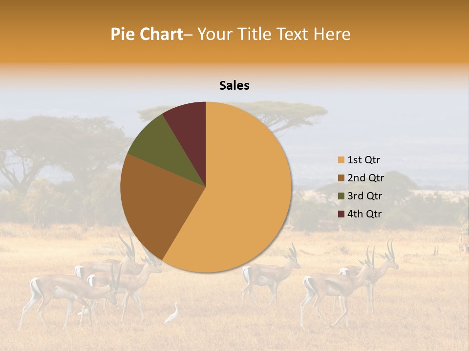 African Savannah PowerPoint Template