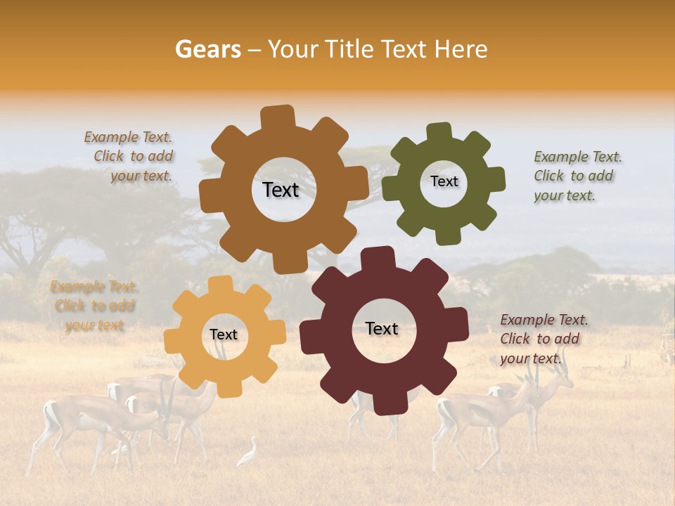 African Savannah PowerPoint Template