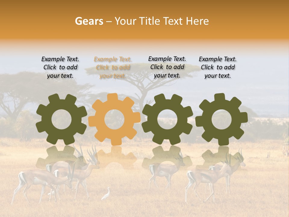 African Savannah PowerPoint Template