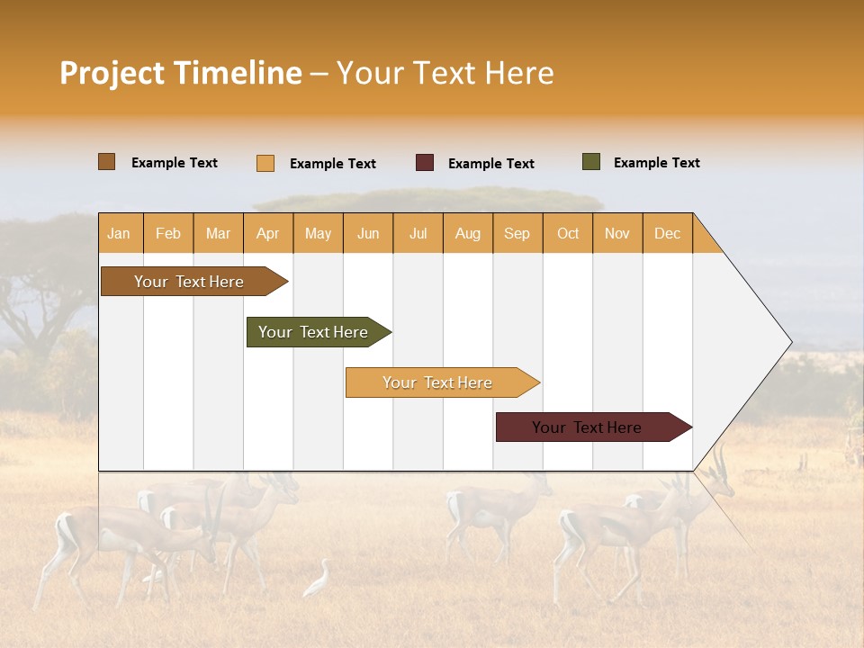 African Savannah PowerPoint Template